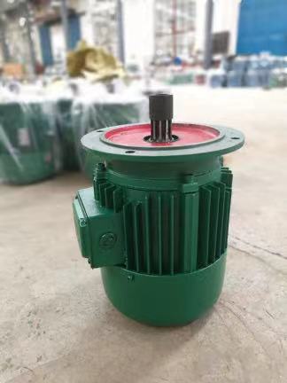 真牛集團(tuán)、方泰智能起重機錐形制動電機、
