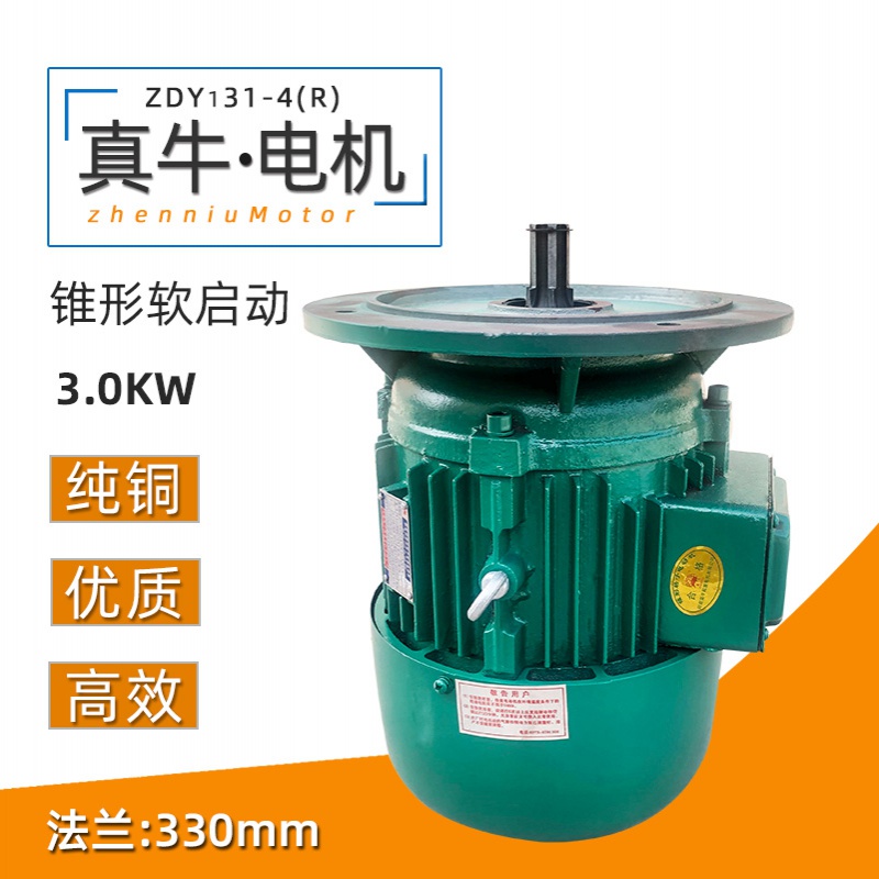 ZDY(R)3.0kw河南真牛電機(jī)