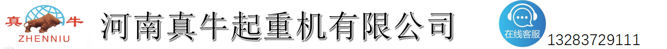 河南真牛起重機有限公司官網(wǎng)_河南真牛電機_真牛起重機